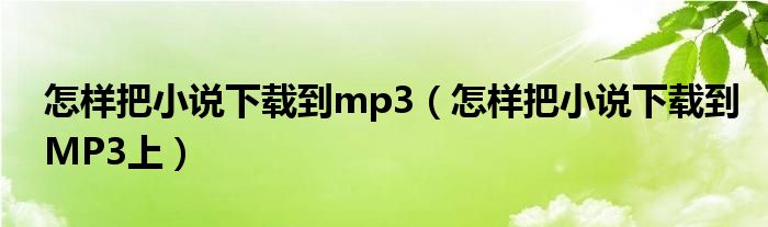 怎樣把小說下載到mp3（怎樣把小說下載到MP3上）