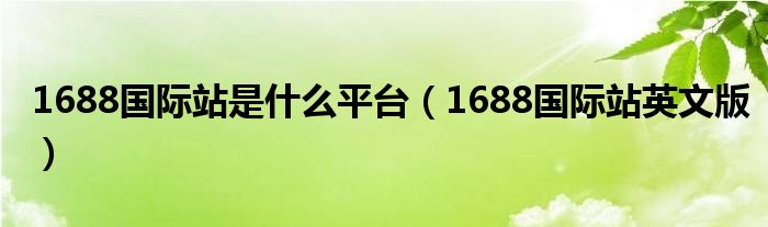 1688國際站是什么平臺（1688國際站英文版）