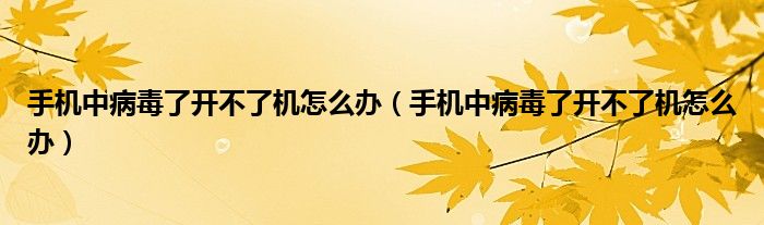 手機(jī)中病毒了開不了機(jī)怎么辦（手機(jī)中病毒了開不了機(jī)怎么辦）