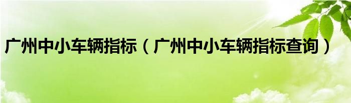 廣州中小車輛指標(biāo)（廣州中小車輛指標(biāo)查詢）