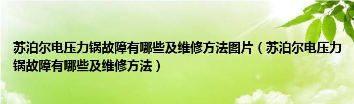 蘇泊爾電壓力鍋故障有哪些及維修方法圖片（蘇泊爾電壓力鍋故障有哪些及維修方法）