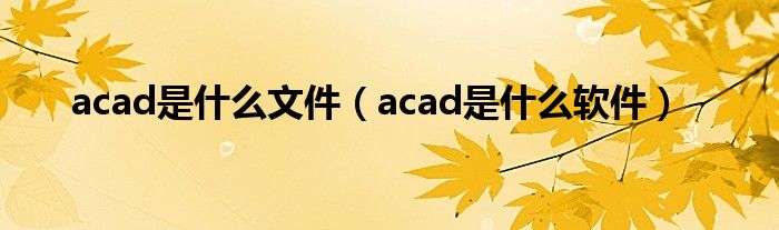 acad是什么文件（acad是什么軟件）