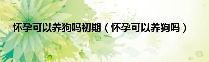 懷孕可以養(yǎng)狗嗎初期（懷孕可以養(yǎng)狗嗎）