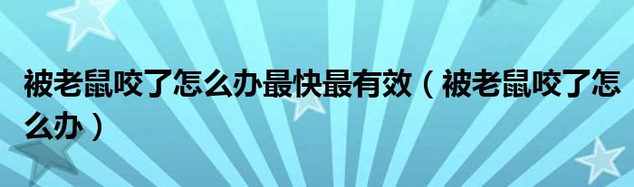 被老鼠咬了怎么辦最快最有效（被老鼠咬了怎么辦）