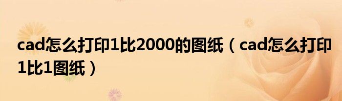 cad怎么打印1比2000的圖紙（cad怎么打印1比1圖紙）