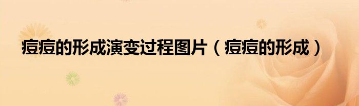 痘痘的形成演變過(guò)程圖片（痘痘的形成）