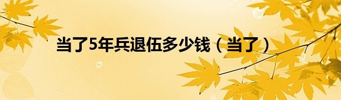 當了5年兵退伍多少錢（當了）