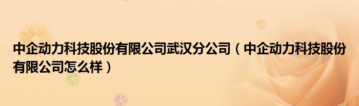 中企動力科技股份有限公司武漢分公司（中企動力科技股份有限公司怎么樣）