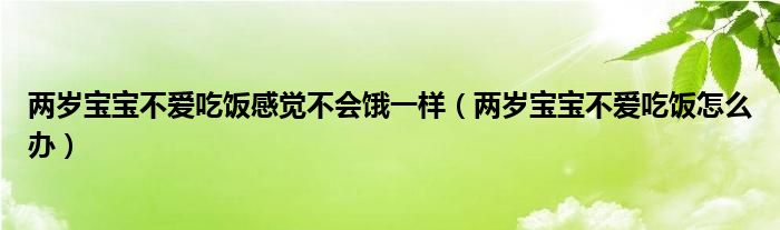 兩歲寶寶不愛吃飯感覺不會餓一樣（兩歲寶寶不愛吃飯怎么辦）