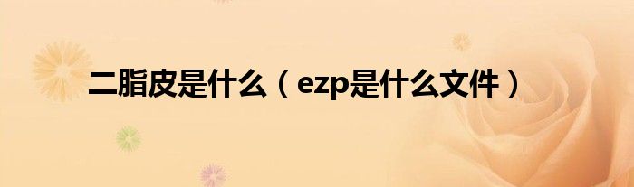 二脂皮是什么（ezp是什么文件）