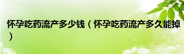 懷孕吃藥流產(chǎn)多少錢（懷孕吃藥流產(chǎn)多久能掉）