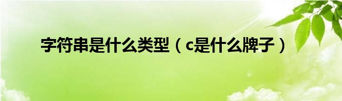 字符串是什么類型（c是什么牌子）