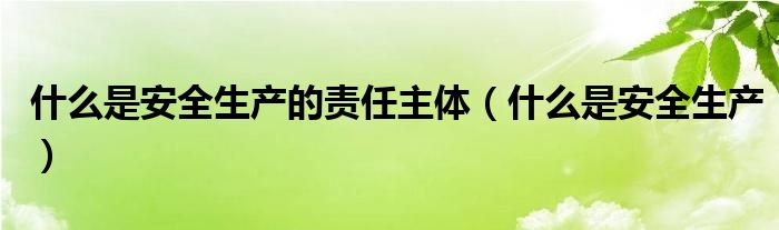 什么是安全生產(chǎn)的責(zé)任主體（什么是安全生產(chǎn)）