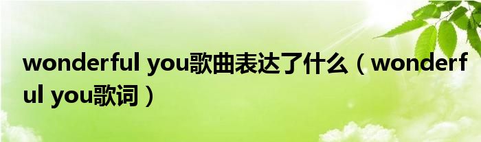 wonderful you歌曲表達了什么（wonderful you歌詞）