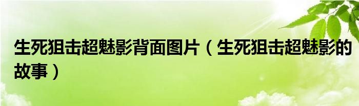 生死狙擊超魅影背面圖片（生死狙擊超魅影的故事）