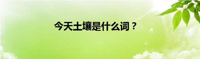 今天土壤是什么詞？