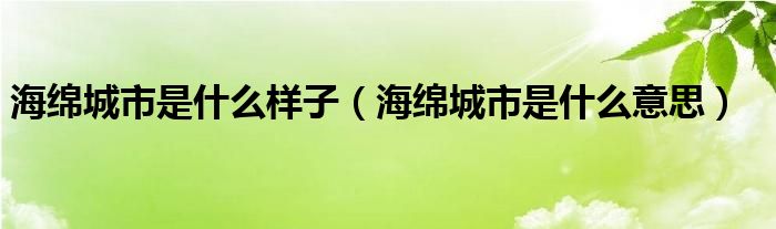 海綿城市是什么樣子（海綿城市是什么意思）