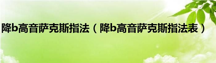 降b高音薩克斯指法（降b高音薩克斯指法表）