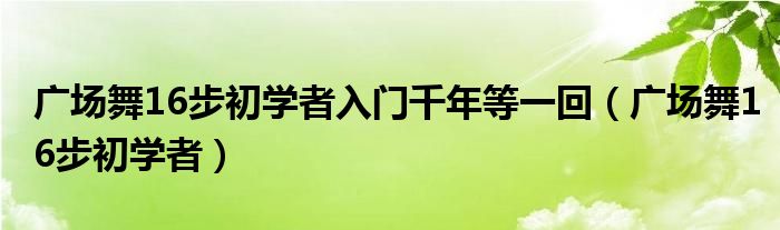 廣場舞16步初學(xué)者入門千年等一回（廣場舞16步初學(xué)者）