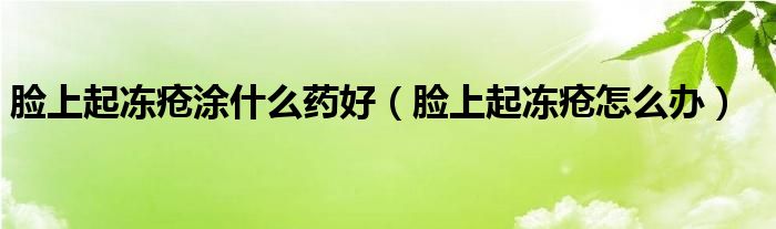 臉上起凍瘡?fù)渴裁此幒茫樕掀饍霪徳趺崔k）