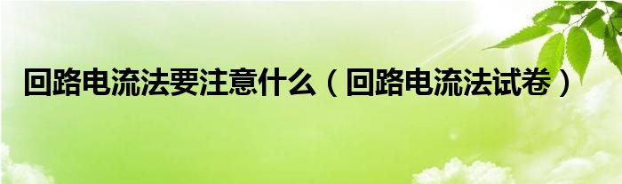 回路電流法要注意什么（回路電流法試卷）