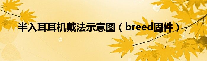 半入耳耳機(jī)戴法示意圖（breed固件）