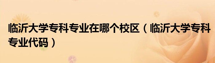 臨沂大學(xué)?？茖I(yè)在哪個校區(qū)（臨沂大學(xué)?？茖I(yè)代碼）