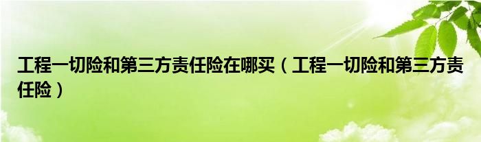 工程一切險(xiǎn)和第三方責(zé)任險(xiǎn)在哪買（工程一切險(xiǎn)和第三方責(zé)任險(xiǎn)）