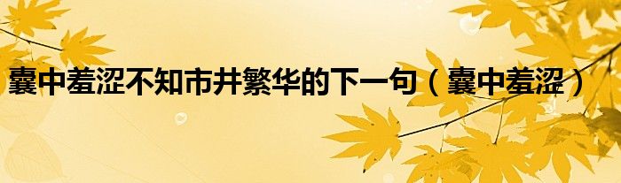 囊中羞澀不知市井繁華的下一句（囊中羞澀）