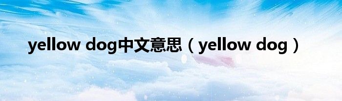 yellow dog中文意思（yellow dog）