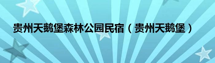 貴州天鵝堡森林公園民宿（貴州天鵝堡）