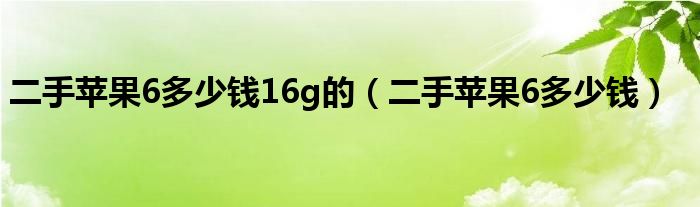 二手蘋果6多少錢16g的（二手蘋果6多少錢）