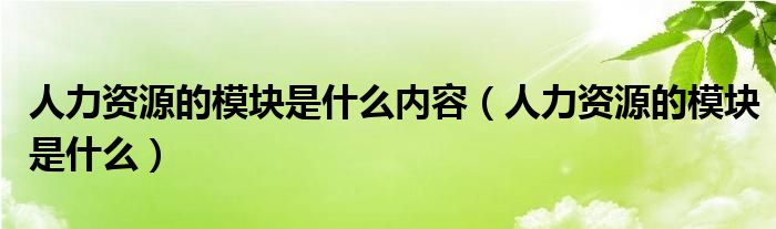 人力資源的模塊是什么內(nèi)容（人力資源的模塊是什么）