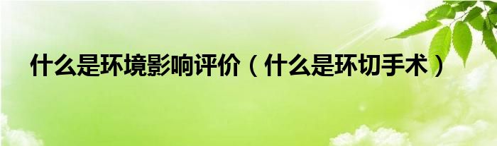 什么是環(huán)境影響評(píng)價(jià)（什么是環(huán)切手術(shù)）