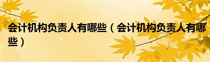 會計機(jī)構(gòu)負(fù)責(zé)人有哪些（會計機(jī)構(gòu)負(fù)責(zé)人有哪些）