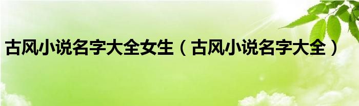 古風小說名字大全女生（古風小說名字大全）