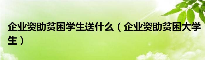 企業(yè)資助貧困學(xué)生送什么（企業(yè)資助貧困大學(xué)生）