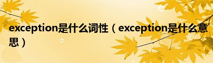 exception是什么詞性（exception是什么意思）