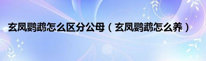 玄鳳鸚鵡怎么區(qū)分公母（玄鳳鸚鵡怎么養(yǎng)）