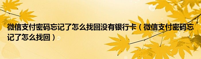 微信支付密碼忘記了怎么找回沒有銀行卡（微信支付密碼忘記了怎么找回）