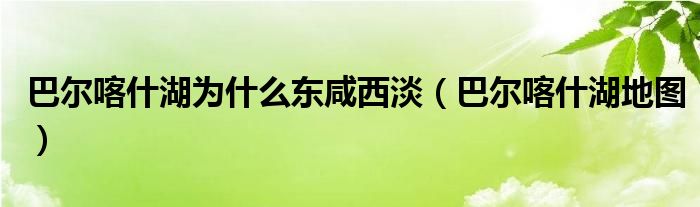 巴爾喀什湖為什么東咸西淡（巴爾喀什湖地圖）