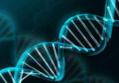 研究人員使用 loop-seq 技術(shù)破譯 DNA 的機械代碼