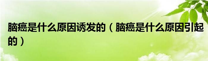 腦癌是什么原因誘發(fā)的（腦癌是什么原因引起的）