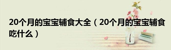 20個(gè)月的寶寶輔食大全（20個(gè)月的寶寶輔食吃什么）