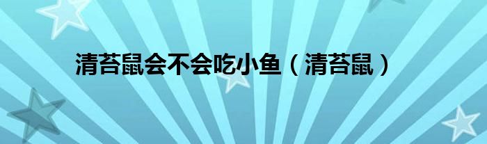 清苔鼠會(huì)不會(huì)吃小魚(yú)（清苔鼠）