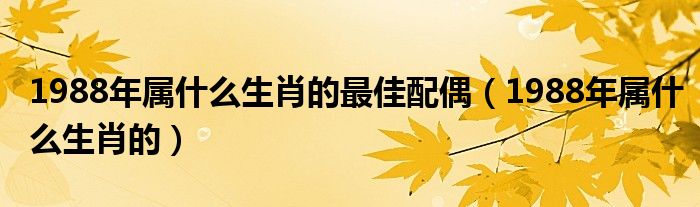 1988年屬什么生肖的最佳配偶（1988年屬什么生肖的）