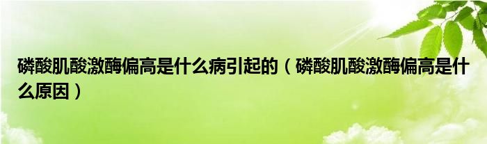 磷酸肌酸激酶偏高是什么病引起的（磷酸肌酸激酶偏高是什么原因）