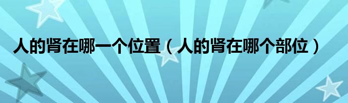 人的腎在哪一個(gè)位置（人的腎在哪個(gè)部位）