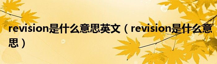 revision是什么意思英文（revision是什么意思）