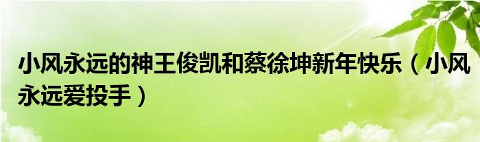 小風(fēng)永遠(yuǎn)的神王俊凱和蔡徐坤新年快樂（小風(fēng)永遠(yuǎn)愛投手）